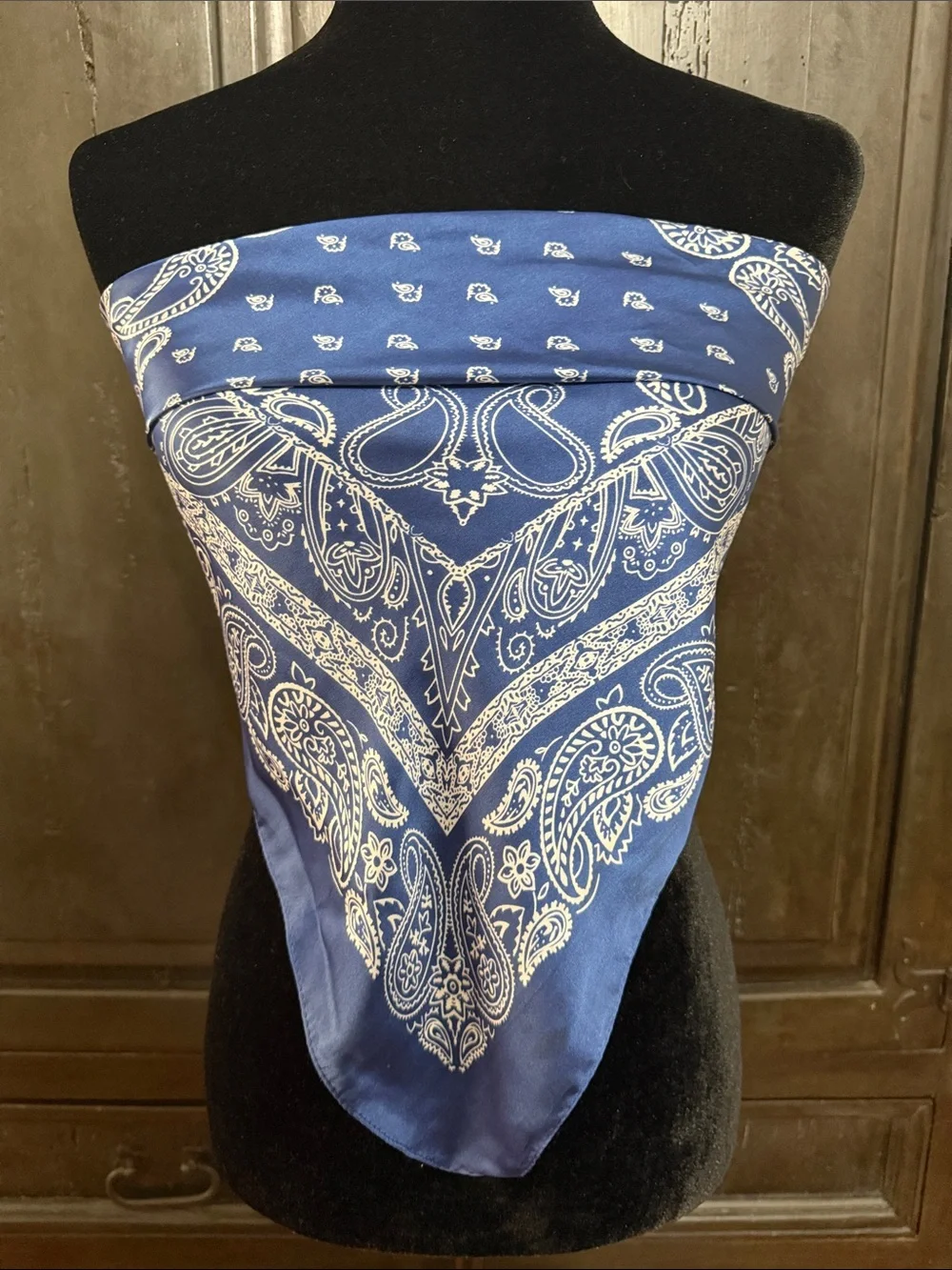Source Unknown blue paisley